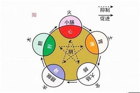 宜 五行|宜字的五行属性